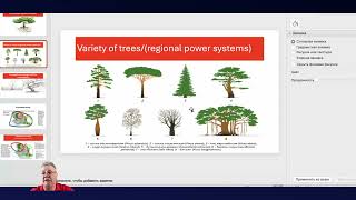 Тарифные зоны в России в чем проблемы Казахстану на заметку Analytic Energy Agency 10 17 2024 [upl. by Ariela]