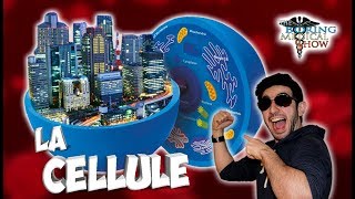 LA CELLULE  UNE VILLE MAGNIFIQUE  BMShow [upl. by Silyhp418]