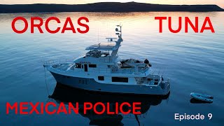 Riding Dragon Episode 9  Orcas Tuna and The Mexican Police [upl. by Meris]