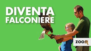 Diventa falconiere  Zoom Torino [upl. by Keeler]