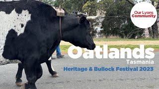 Oatlands Heritage and Bullock Festival 2023  Oatlands Tasmania [upl. by Bej]