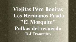 Conjunto Hermanos Prado  El Mosquito Polka [upl. by Greff]