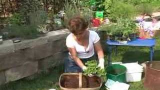 Container Gardening Container Herb Garden [upl. by Adnac]