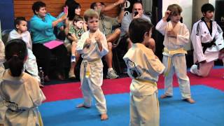 Examen para Cinturon Amarillo de Taekwondo [upl. by Napas84]