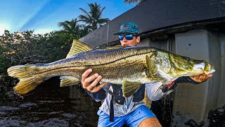 My BIGGEST SNOOK EVER Skippin AINT Easy [upl. by Eart]