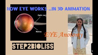 how our eye is work 3D animation Anotomy of Human eye [upl. by Dazhehs]