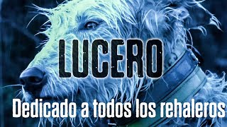 Lucero poema homenaje a todos los rehaleros y sus perros de caza [upl. by Huppert647]