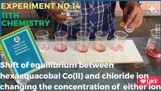 shift in equilibrium between hexaaquacobal CoIIion and chloride ion by change the conc either ion [upl. by Nauqet681]