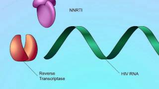 Mechanisms of Action of NonNucleoside Reverse Transcriptase Inhibitors NNRTIs [upl. by Brey]