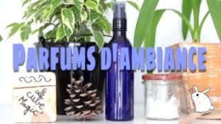 DIY Parfums dambiance [upl. by Cirred845]