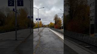 P train arrives at martinlaakso with a squirrel crossing the platform and going to the train tracks [upl. by Tseng32]