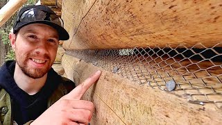 Secret to MaintenanceFree Mortar Chinking  Ep65  Outsider Log Cabin [upl. by Alial639]