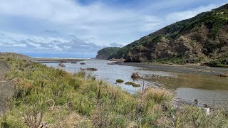 Bethells Beach Te Henga Auckland New Zealand [upl. by Avehsile663]