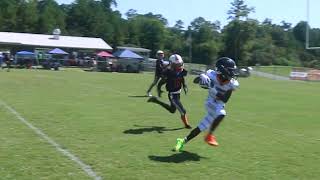 Fultondale Wildcats 10u Highlights vs East Alabama Gators [upl. by Stubbs]