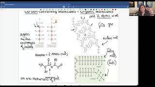 Carbons and Sugars Recorded Lecture [upl. by Court]