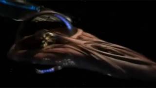 Star Trek  Earth Romulan War Trailer 2 HD [upl. by Bryan]