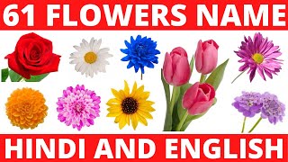 FLOWERS NAME IN HINDI AND ENGLISH WITH PHOTOS  फलों के नाम हिंदी और अंग्रेजी में FLOWERS VOCABULARY [upl. by Surdna]