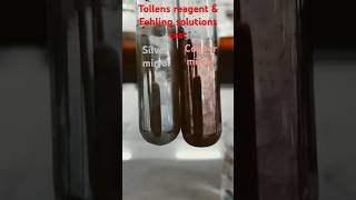 Tollens reagent and Fehling solution test for Aldehyde Functional group analysis class12chemistry [upl. by Noam]