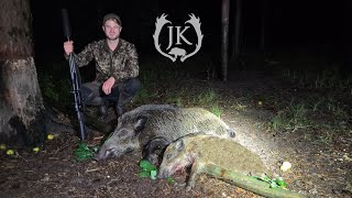 Nachtjagd in Sommernächten  Sauen im Feld amp Wald  Jagdkrone [upl. by Zebapda588]