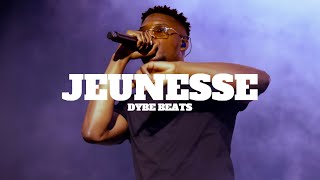 FREE Ninho x Niska x Werenoi Type Beat  quot JEUNESSE quot  Instru Mélodique 2024 [upl. by Liva]