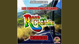 Corrido De Bulmaro [upl. by Oettam]