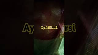 Ayatul Kursi islamicstatus ইস্তেগফার mizanurrahmanazhari islamictiktok surahyaseen surah [upl. by Aihsiym]