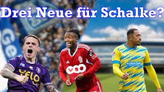 Donkor Balikwisha und Verlinden zu Schalke  Transfergerüchte im Check [upl. by Caralie]