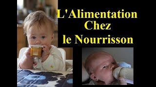 Alimentation Chez le nourrisson Comment introduire la diversification [upl. by Bennion700]