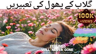 Gulab Ka Phool Aur Khwab Ki TabeerKhwab mein gulab ka phool dekhnay ki tabeeray [upl. by Vanden]