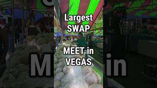 Largest swap meet in the Vegas area shortstravel shortsfood shorts [upl. by Mordecai]