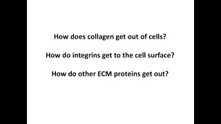 MolMed Zellbiologie3 Erkrankungen Teis SS202 [upl. by Alomeda]