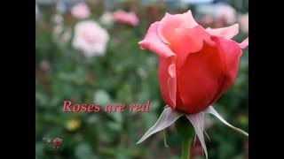 Roses Are Red Poems True Love [upl. by Ade]