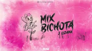 MIX KAROL G  BICHOTA MIX BY DJ JLIZAMA Lizamatemotiva LO MEJOR DE KAROL G [upl. by Lorak]