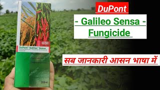 galileo sensa fungicide uses  picoxystrobin  tricyclazole fungicide uses  dupont  a2z farming [upl. by Nnyled]