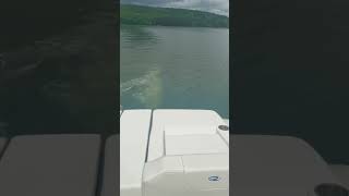 Check out the Surf 🏄‍♂️ Wave on this 2024 Regal LS2 Surf regalboats raystownlake [upl. by Epps]