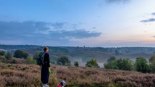 Hiking in Rheden  Gelderland  Netherlands [upl. by Hiltan562]