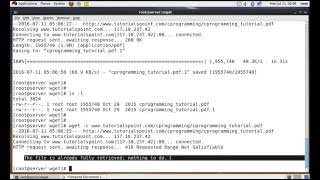 WGET Command in Linux [upl. by Fernas]