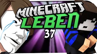 MINECRAFT LEBEN ☆ 37  ULTRA NERVIG ☆ Minecraft Leben [upl. by Yriek675]