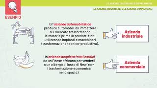 Videolezione  Le aziende di consumo e di produzione [upl. by Pazice860]