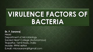 Virulence Factors of Bacteria [upl. by So306]