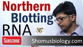 Northern blotting technique [upl. by Colfin365]