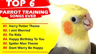 Cockatiel Singing 6 Song TrainingFor Budgies Parrots Birds [upl. by Service926]