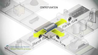 Wheat starch process [upl. by Eisaj]