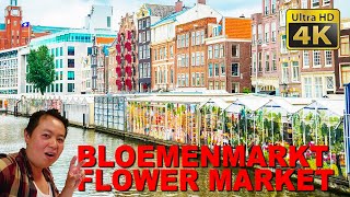 The Best of Amsterdam 4K  Bloemenmarkt Floating Flower Market [upl. by Doran]