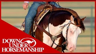 Clinton Anderson Presents Titan a Legend in the Making Lesson 5 Part 3  Downunder Horsemanship [upl. by Agnola]