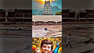 🦚🥺 முருகனே துணை 💯😣muruganwhatsappstatustamil tamilkadavulmurugan muruganlove🦚🦚👑🕉️🙏🙏🕉️🕉️ [upl. by Ial]