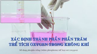 Xác định phần trăm thể tích của oxygen trong không khí [upl. by Anastassia182]