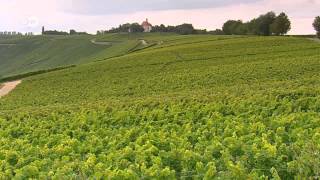 WineProducing Regions  Mosel Pfalz and Franconia  Discover Germany [upl. by Gaul]