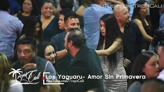 Amor Sin Primavera Los Yaguaru de Angel Venegas en vivo desde Los Angeles California 2018 [upl. by Sardella815]