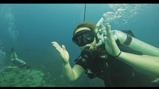 Chumphon Pinnacle  Koh Tao Diving [upl. by Garibold822]